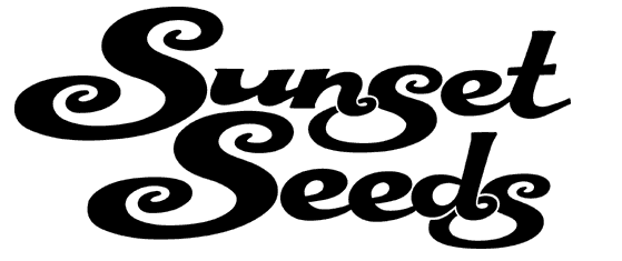 Sunset Seeds